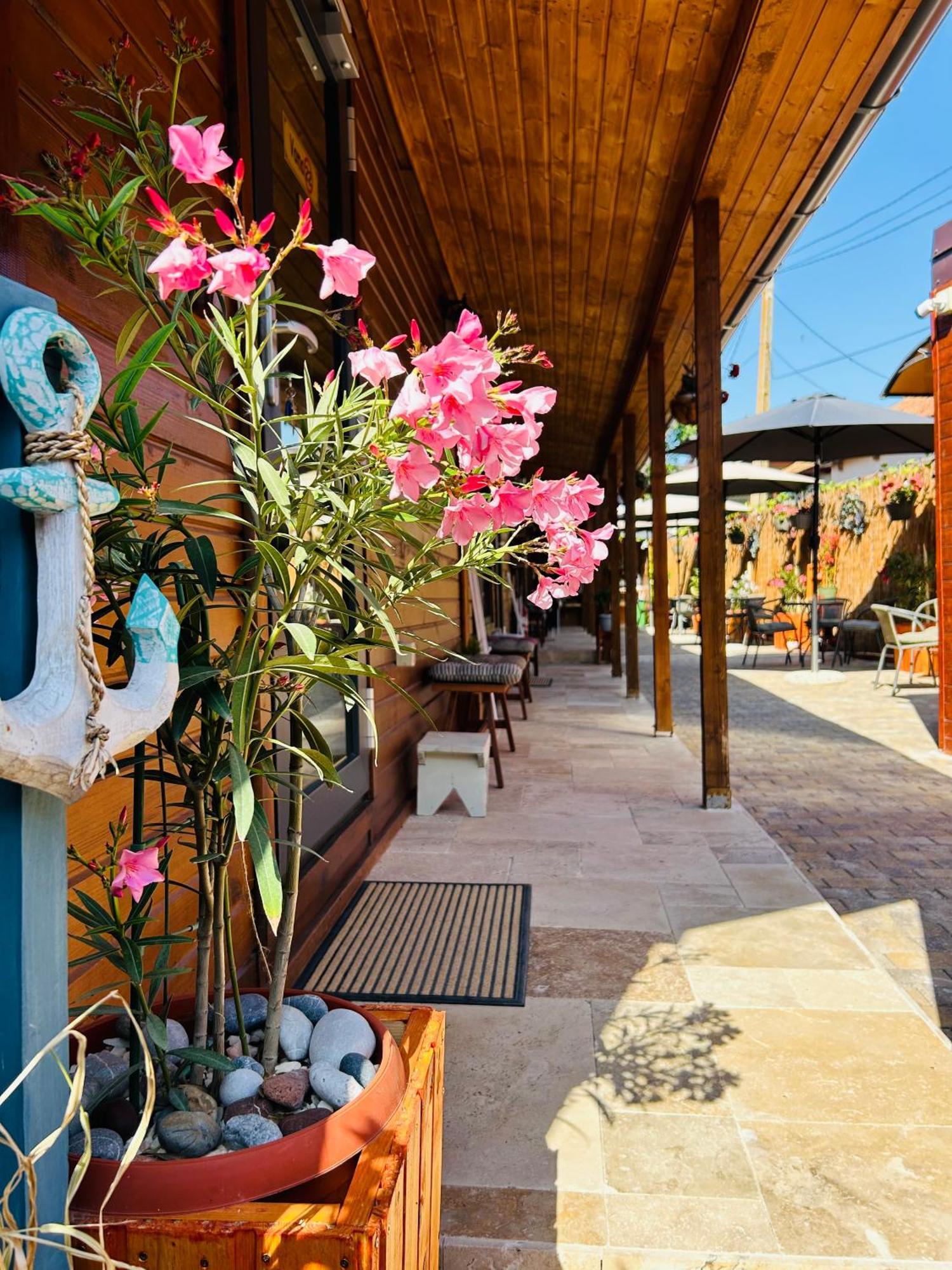 Hotel Vama 22- Vama Veche Extérieur photo
